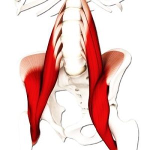 Lo que no te contaron del Psoas