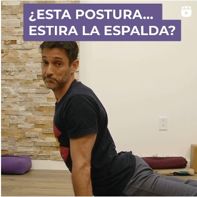 Estira o comprime la espalda perro arriba