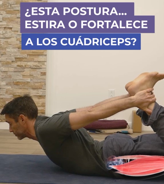 arco estira o fortalece