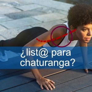 Taller de Chaturanga